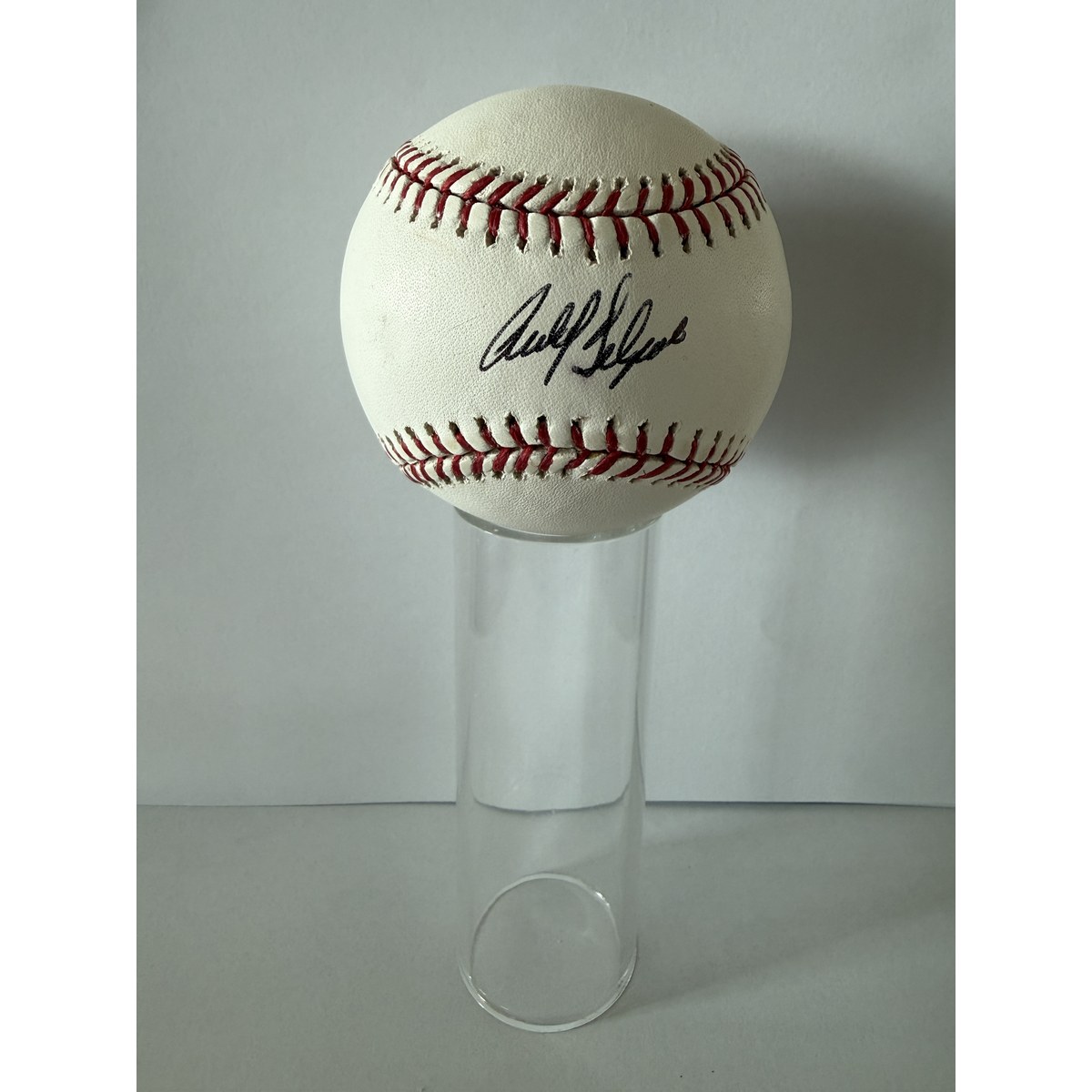 Carlos Delgado signed Baseball Toronto Blue Jays (Steiner COA)